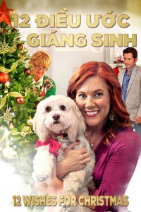 Phim 12 Điều Ước Giáng Sinh - 12 Wishes For Christmas (2011)