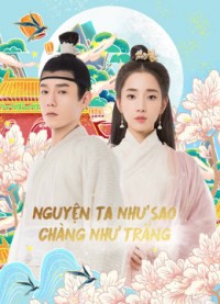 Phim Nguyện Ta Như Sao Chàng Như Trăng - Oops！The King is in Love (2020)