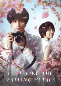 Phim Tình Yêu Như Cánh Hoa Rơi - Love Like the Falling Petals (2022)